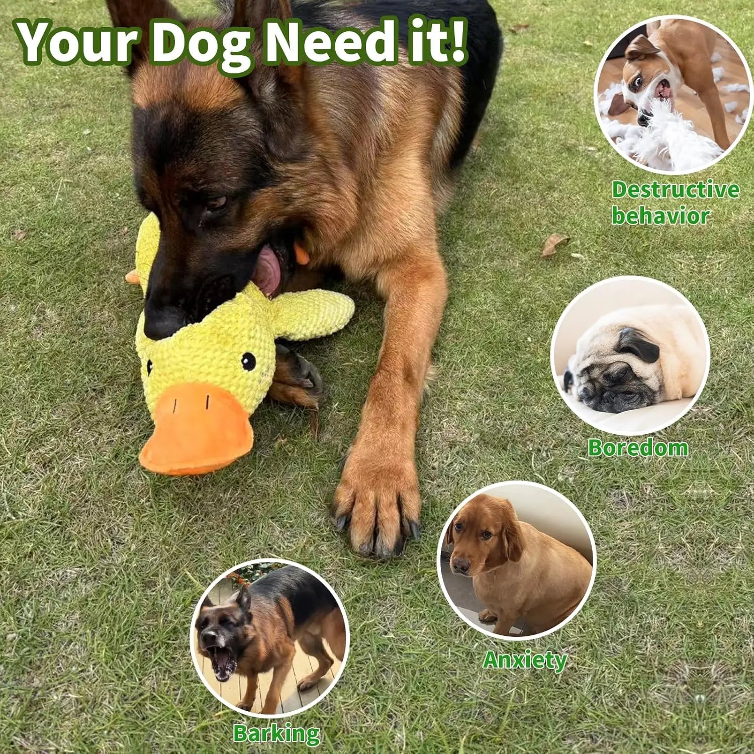 Atelier Mallard: The Quacking Durability Companion