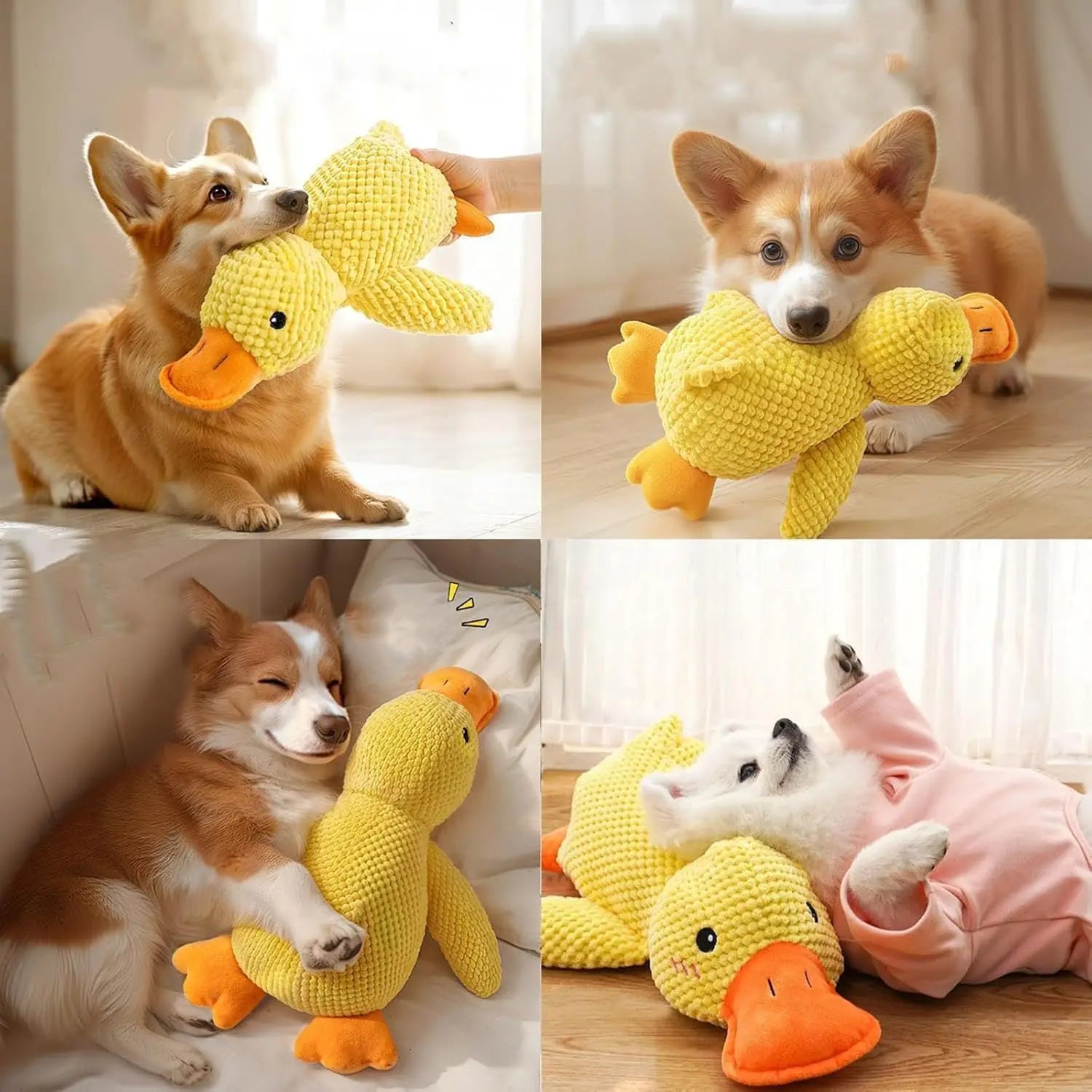 Atelier Mallard: The Quacking Durability Companion
