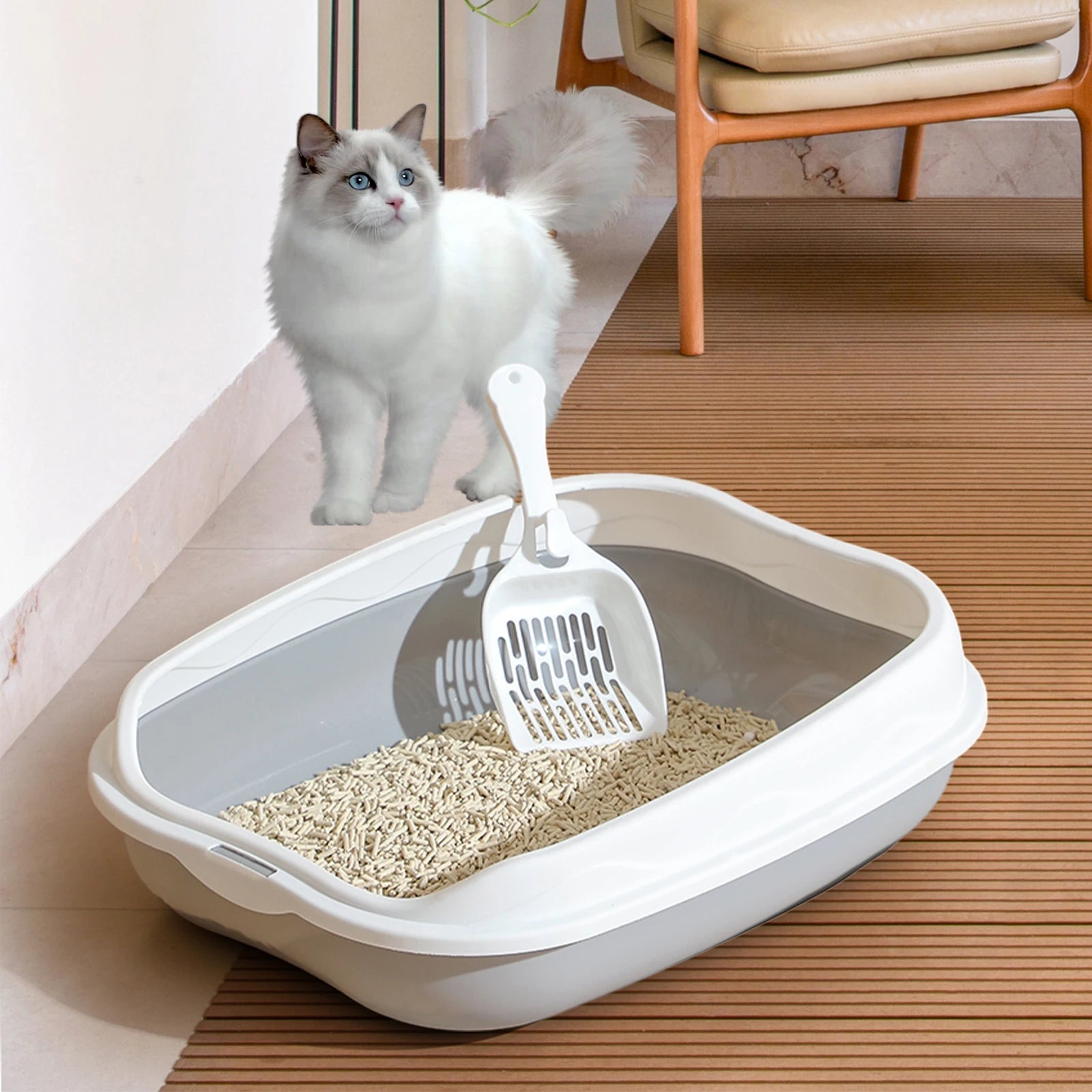 Semi-Enclosed Litter Box